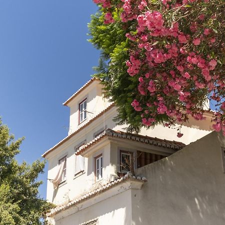 Duplex No Centro Historico De Lisboa - Ttl321 Leilighet Eksteriør bilde